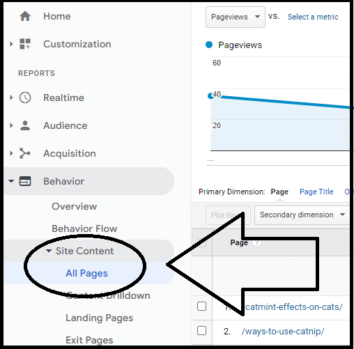 Behavior_Site Content_All Pages in Google Analytics