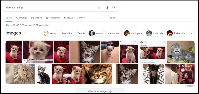 Image pack on Google for the query_kittens smiling_