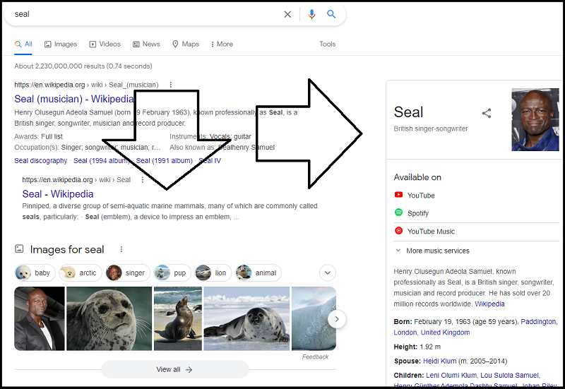 See results about SERP feature for the query:"seal"