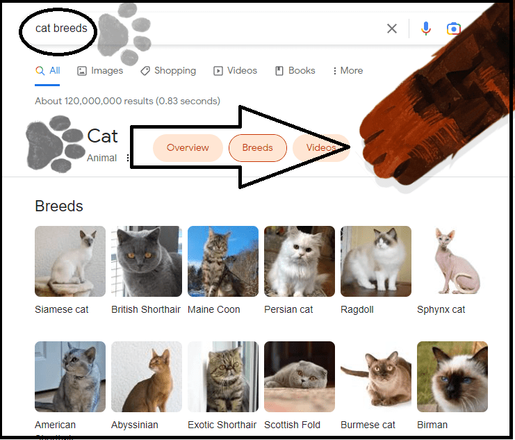 Google result for the query "cat breeds"