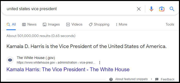 Google search result for the query "united states vice president"