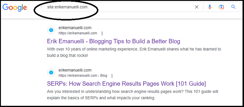 Example of Google search command (site:erikemanuelli.com)